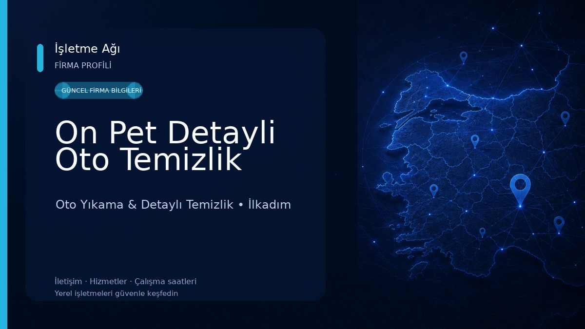 On Pet Detayli Oto Temizlik